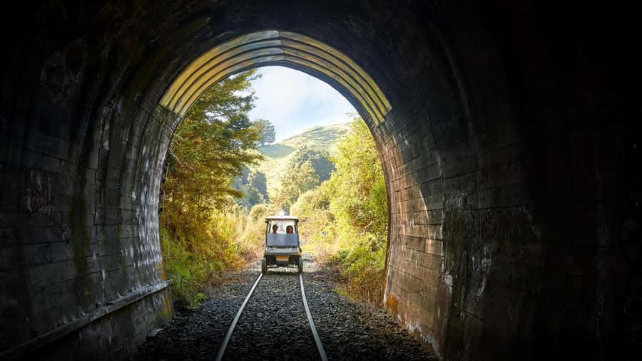 Taumarunui: Forgotten World Rail Cart Tour with Lunch - Why the Forgotten World Railway is the main attraction