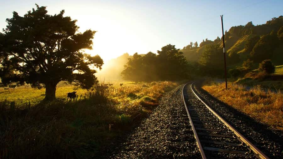 Taumarunui: Forgotten World Rail Cart Tour with Lunch - Ten tunnels, including the 1.5-kilometer passage