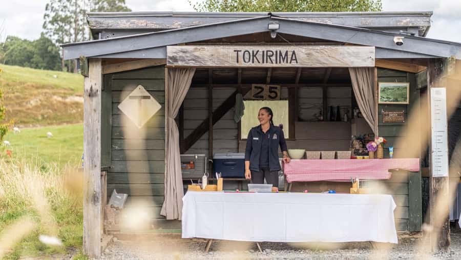 Taumarunui: Forgotten World Rail Cart Tour with Lunch - Practical details for a smooth day