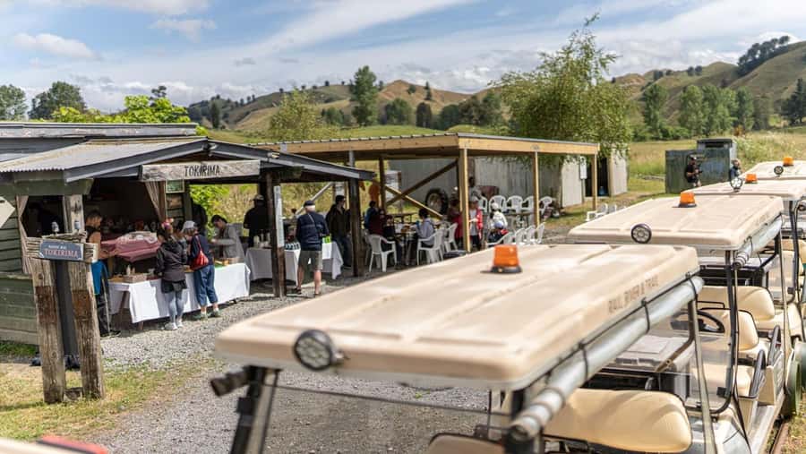 Taumarunui: Forgotten World Rail Cart Tour with Lunch - From Taumarunui to Okahukura by shuttle