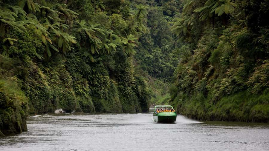 Taumarunui: Railcart and Jetboat Adventure with lunch - Two very different ways to see the Forgotten World
