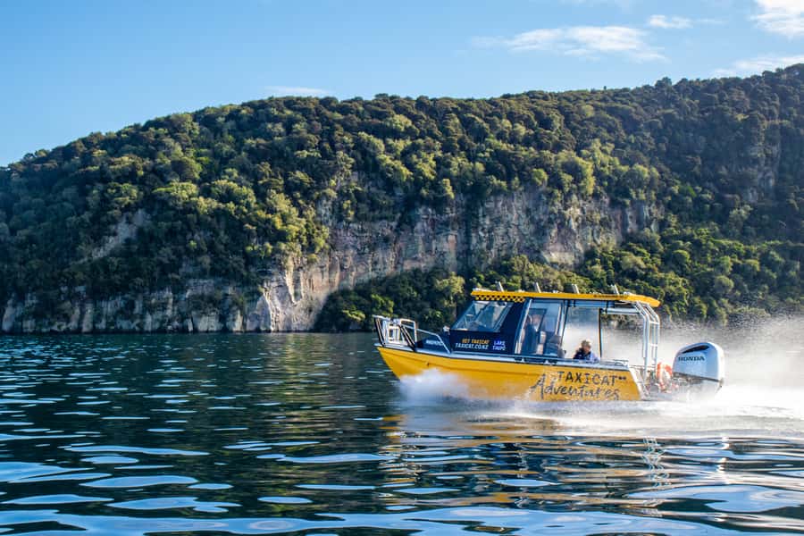 Taupo: Lake Taupo Western Bays Catamaran Tour with Bush Walk - Key points before you book