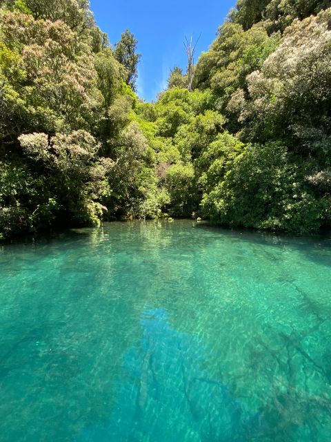 Taupo: Lake Taupo Western Bays Catamaran Tour with Bush Walk - Price, timing, and practical value