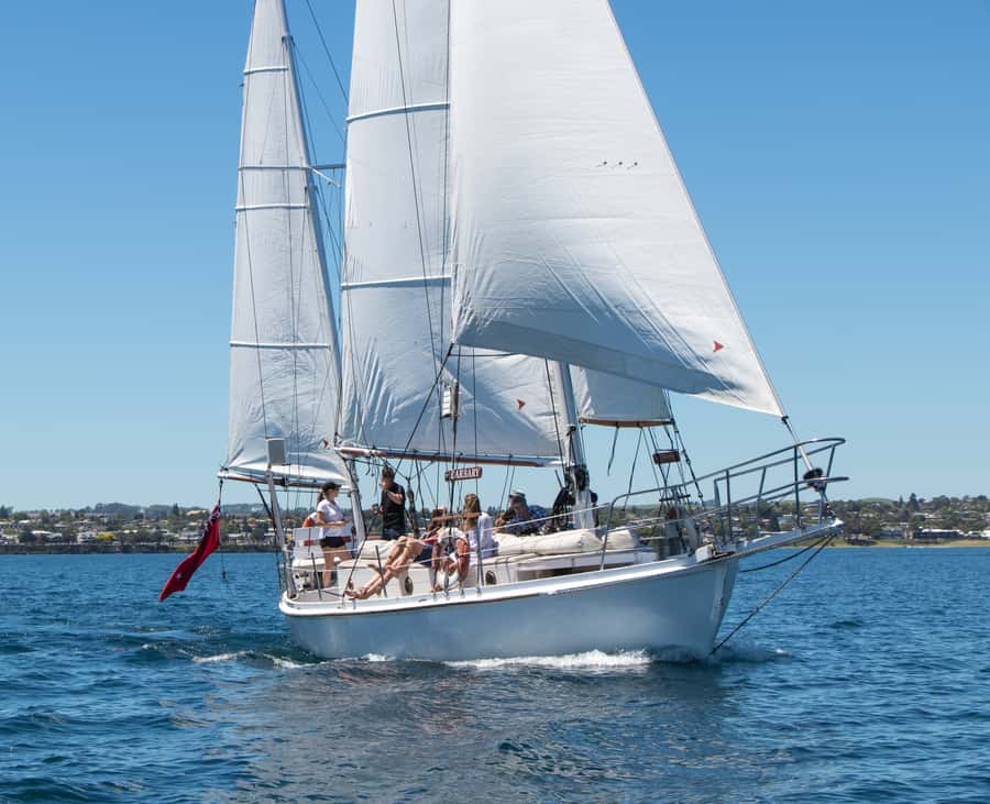 Taupō: Sail Barbary Eco Sailing to the Maori Rock Carvings - Who should book Sail Barbary?