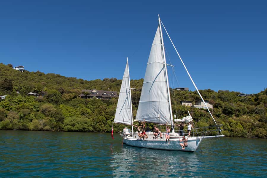 Taupō: Sail Barbary Eco Sailing to the Maori Rock Carvings - Is $35 a good value?