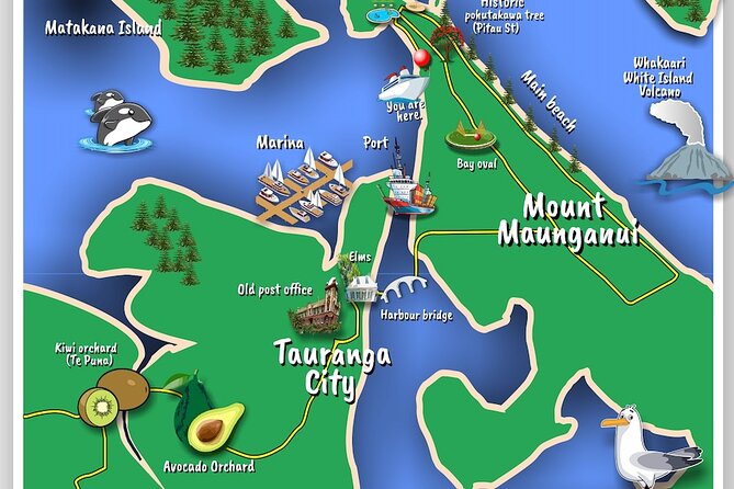 TAURANGA City & Scenic Sightseeing 2-hour Local Bus Tour - Key points to know before you book