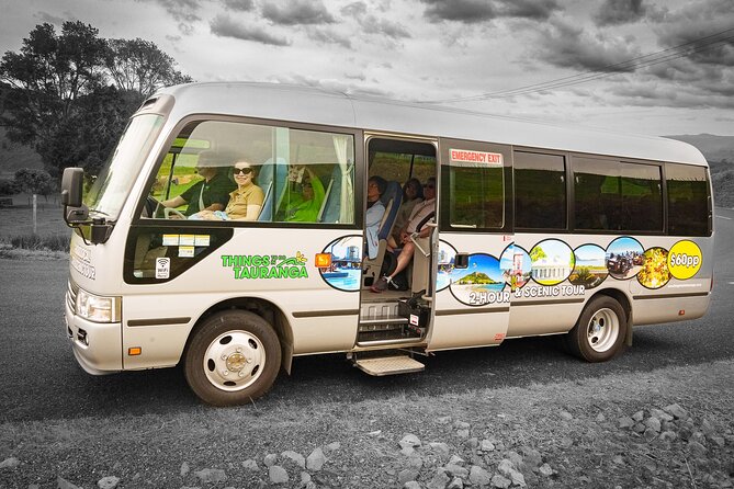 TAURANGA City & Scenic Sightseeing 2-hour Local Bus Tour - Mount Maunganui begins with beach views