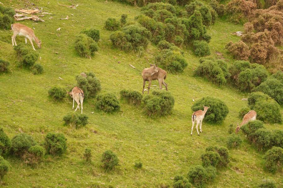 Tauranga City & Scenic Sightseeing 2-hour Local Tour - Who will get the most from this tour