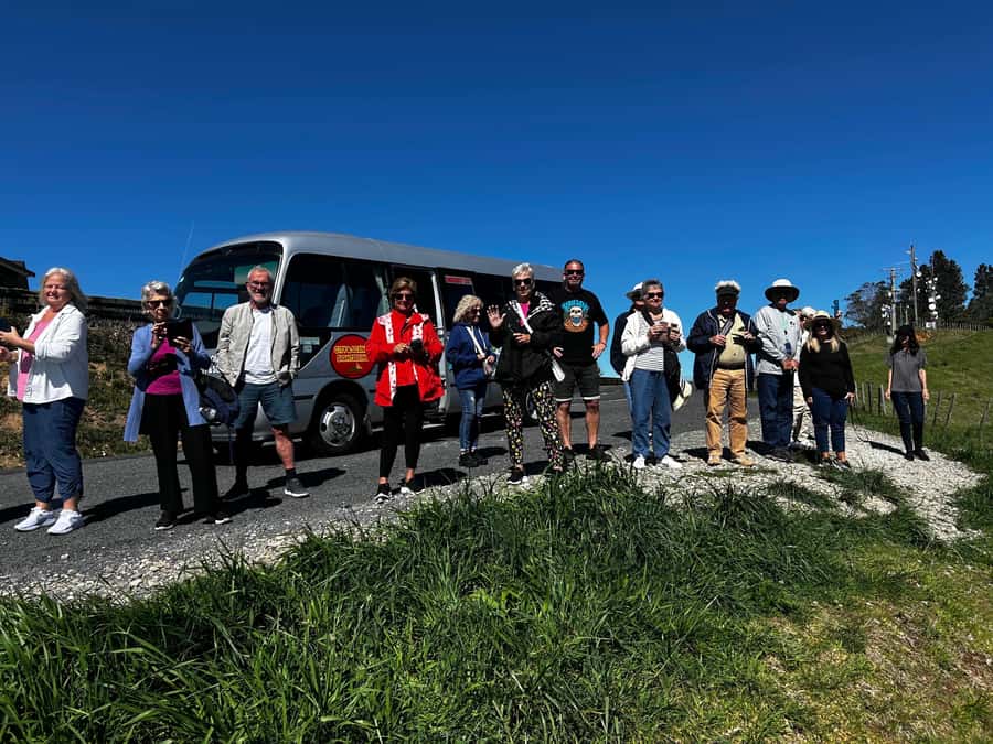 Tauranga City & Scenic Sightseeing 2-hour Local Tour - The scenic lookout and its wide views