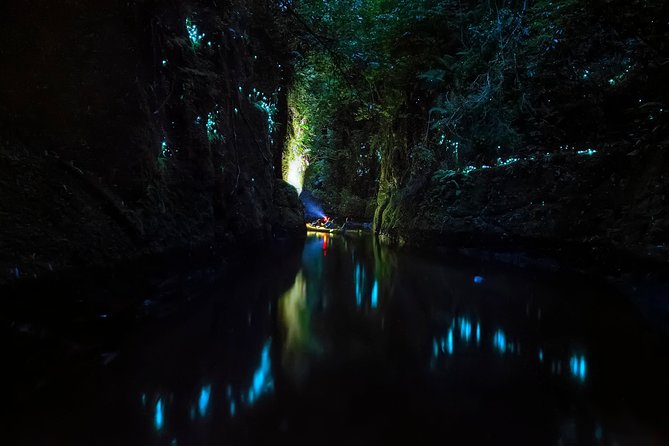 Tauranga: Evening Glowworm Kayak Tour - The hydro unit and the less polished moments