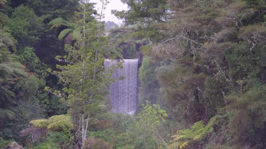 Tauranga: Kiwifruit Destination and Sights Shore Excursion - Why the orchard makes this Tauranga tour different