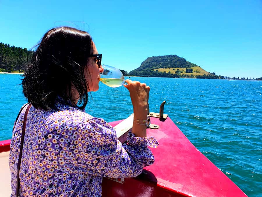 Tauranga: Mount Maunganui Harbour Sightseeing Cruise - Mount Maunganui from the harbour