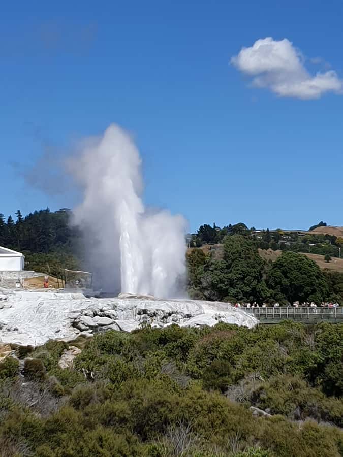 Tauranga: Rotorua Redwoods Tour & Maori Village Experience - Key points at a glance