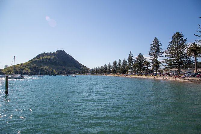 Tauranga Shore Excursion: History & Kiwifruit Tasting – 4 Hours - Crossing the harbour and seeing Tauranga’s working port