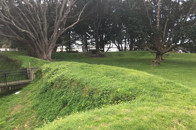 Tauranga Shore Excursion: History & Kiwifruit Tasting – 4 Hours - Russell and the value of a small vehicle