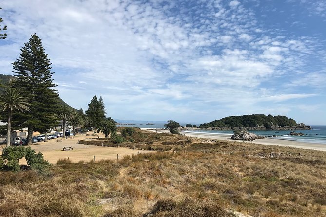 Tauranga Shore Excursion: History & Kiwifruit Tasting – 4 Hours - Minden Lookout and the road toward the Kaimai foothills