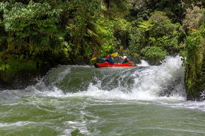 Tauranga Shore Excursion: Rotorua Highlights - Why Whakarewarewa is worth the long ride