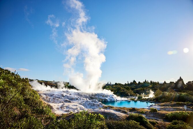Tauranga Shore Excursion: Rotorua Highlights - How the timing works on a cruise day