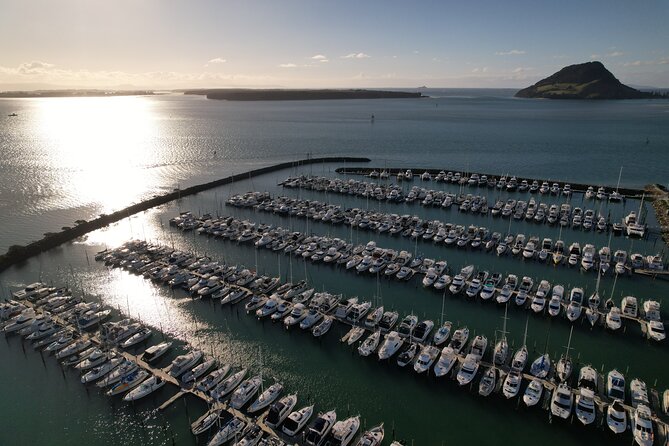 Tauranga Shore Excursion: Top Half Day Curated Highlights Tour - What $69.50 buys you