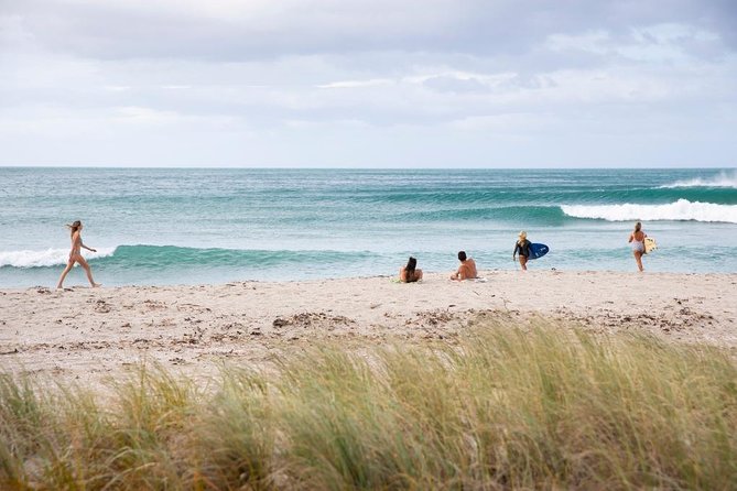 Tauranga Shore Excursion: Top Half Day Curated Highlights Tour - Te Puna and the kiwi-growing country