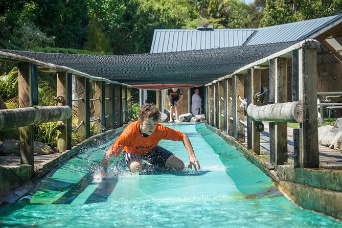 Tauranga: Waimarino Adventure Park - Waimarino gives families room to choose