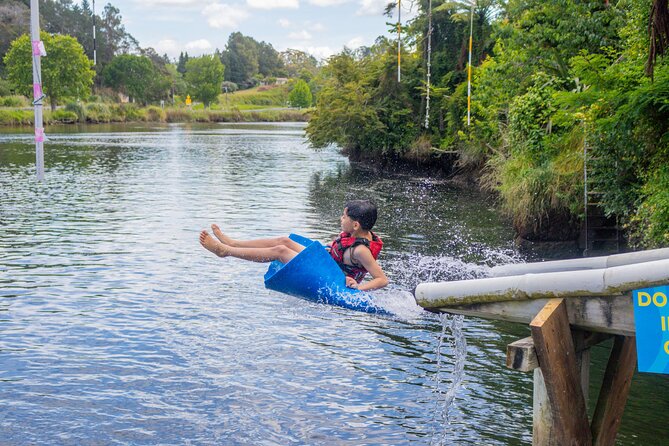 Tauranga: Waimarino Adventure Park - Rope swings, climbing, and the gladiator challenge