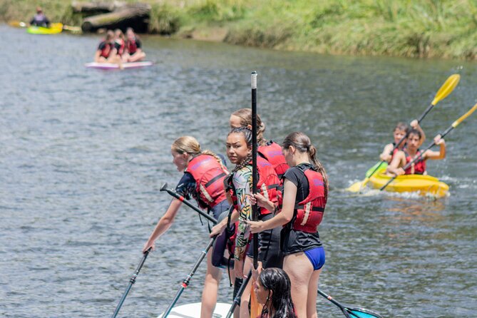 Tauranga: Waimarino Adventure Park - A practical setup for a family picnic