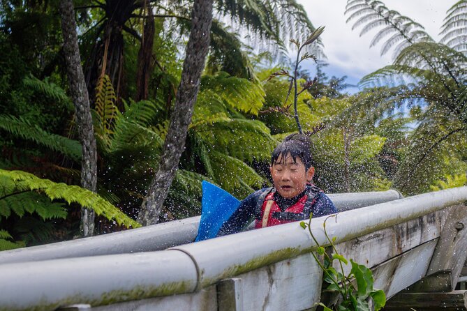 Tauranga: Waimarino Adventure Park - How long should you stay?