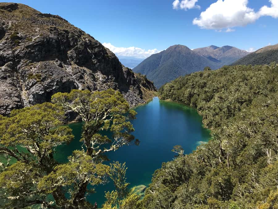 Te Anau: 30-Minute Fiordland National Park Scenic Flight - Why a short flight works so well in Te Anau