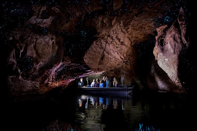 Te Anau Glow Worm Caves Tour - The Te Anau Glow Worm Caves at a Glance