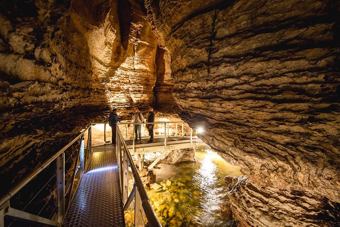 Te Anau Glow Worm Caves Tour - What Happens at Cavern House