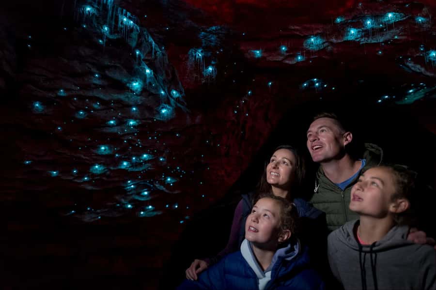 Te Anau: Glowworm Caves Guided Tour - Cavern House and the Cave Introduction