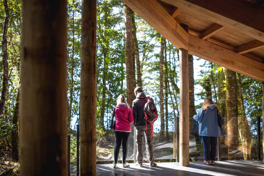 Te Anau: Glowworm Caves Guided Tour - The Small Boat Beneath the Glowworms