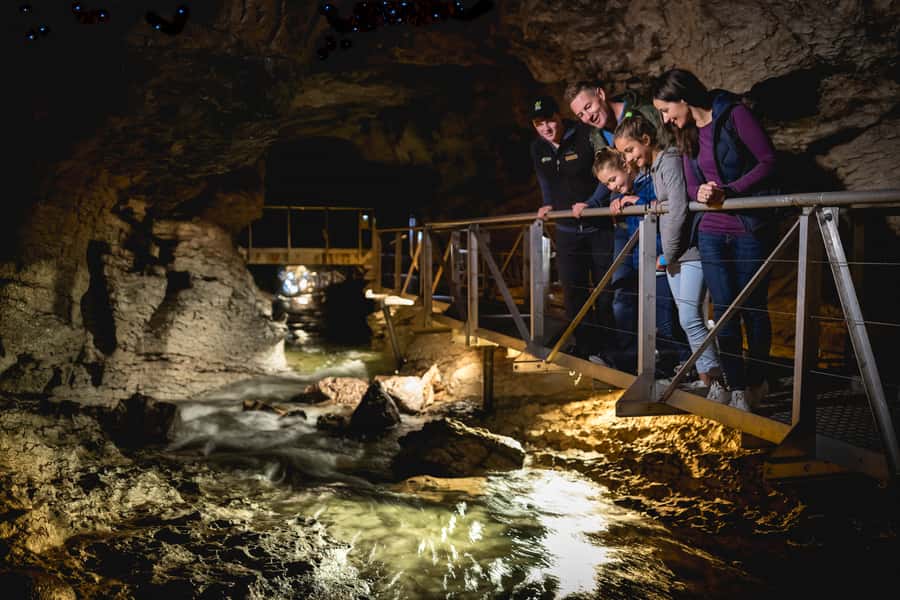 Te Anau: Glowworm Caves Guided Tour - The Return to Cavern House and the Lake