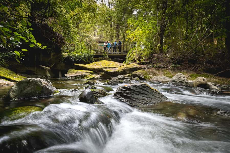 Te Anau: Glowworm Caves Guided Tour - Who Should Book This Tour