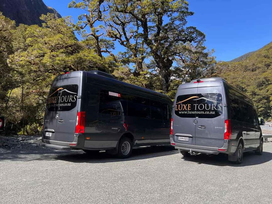 Te Anau: Premium Milford Sound Full Day Tour and Cruise - Why the Te Anau to Milford Road journey matters