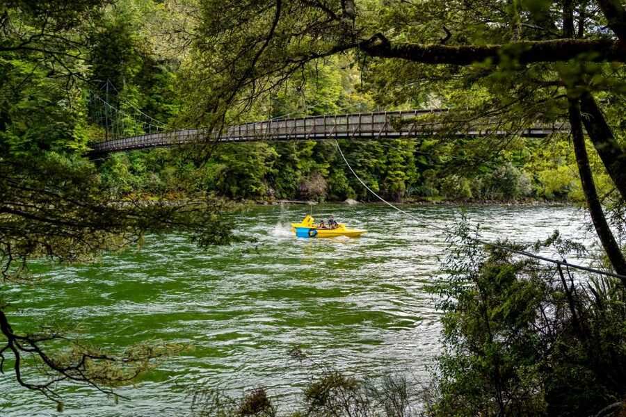 Te Anau: River Jet Boat and Bike Ride Tour with Local Guide - A 15-minute walk beneath Fiordland beech trees