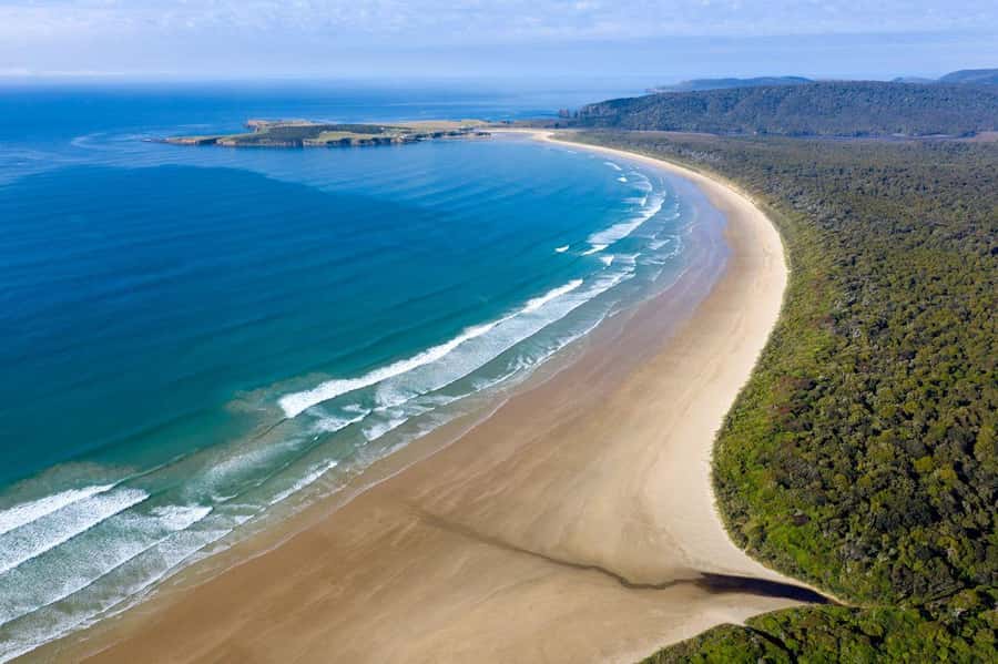 Te Anau to Dunedin via the Catlins & Invercargill 1 Way Tour - From Te Anau to Invercargill
