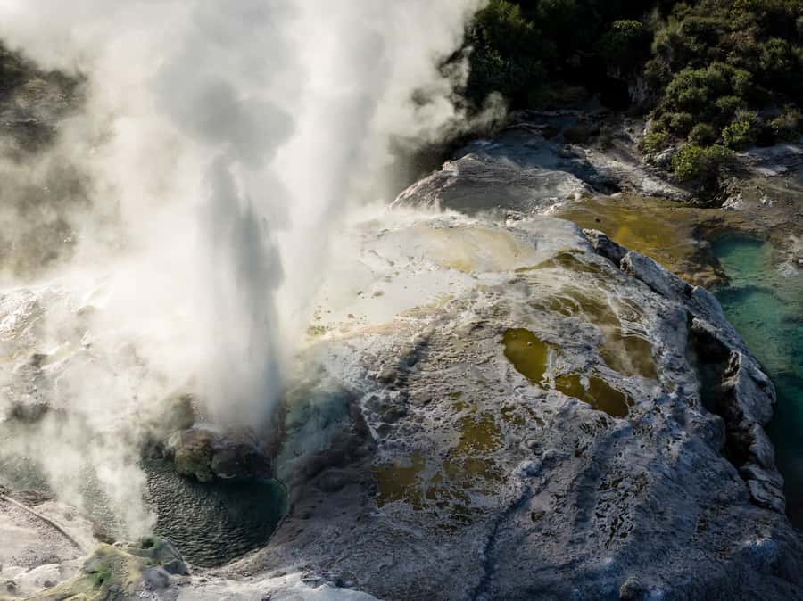 Te Puia: Te Rā Guided Day Tour - Price, comfort, and practical limits