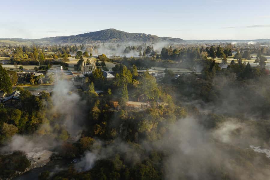 Te Puia: Te Rā Guided Day Tour - Should you book Te Puia’s Te Rā tour?