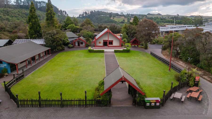 Te Puia: Te Rā Guided Day Tour and Haka Performance - Key points at a glance
