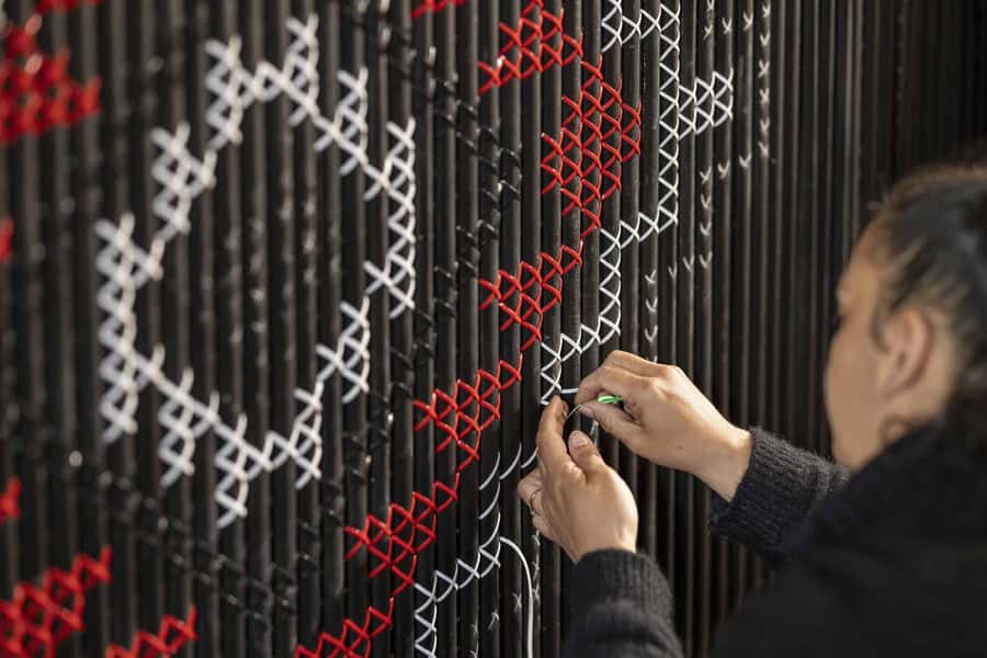 Te Puia: Te Rā Guided Day Tour and Haka Performance - A quieter stop at the Kiwi Conservation Centre