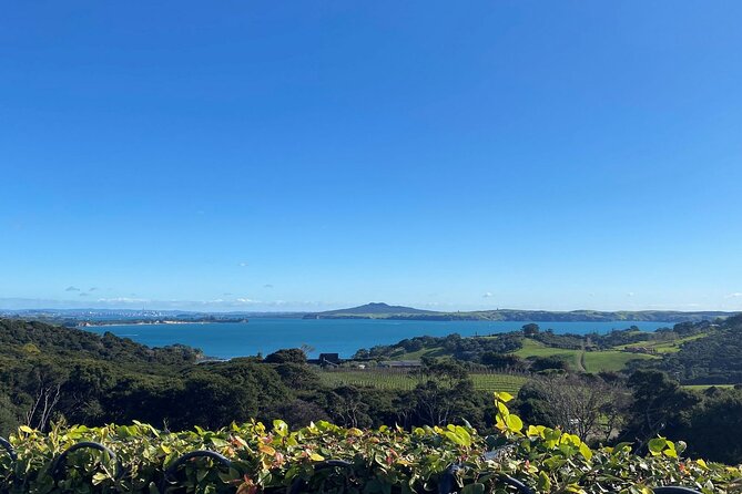 The Essence of Waiheke Wine Tour - Kennedy Point and Te Motu