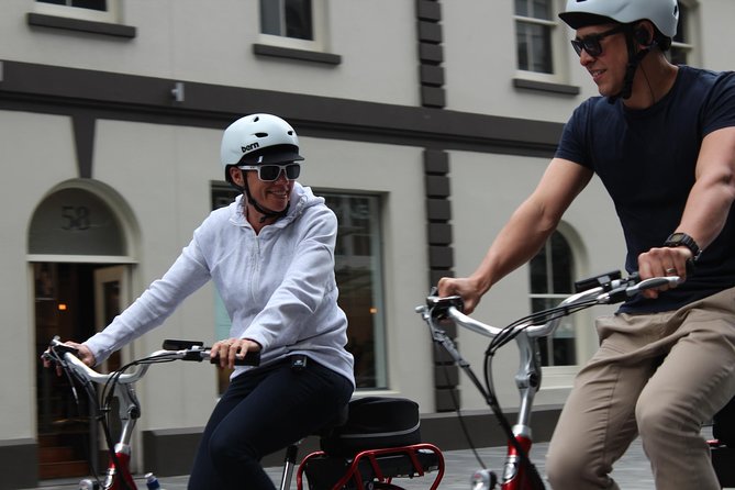 The Inside Loop: an electric bike tour of Auckland's Coolest Neighborhoods - Grafton Gully shows Auckland from the bike path