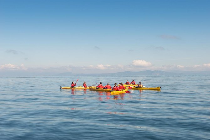 The Maori Carvings Half Day Kayak - Why the carvings are worth the paddle