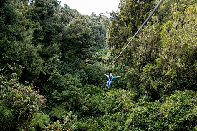 The Ultimate Canopy Zipline Experience Private Tour From Auckland - Guides who add comfort to a high-adrenaline day