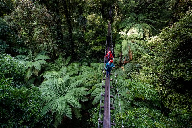 The Ultimate Canopy Zipline Experience Private Tour From Auckland - Three hours among Rotorua’s native trees
