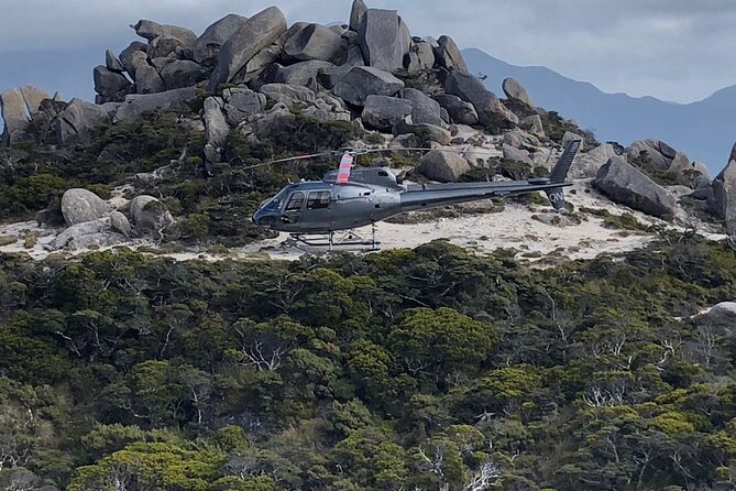 The Ultimate Lord of the Rings Combo Tour - Flying from Nelson Airport into Kahurangi National Park