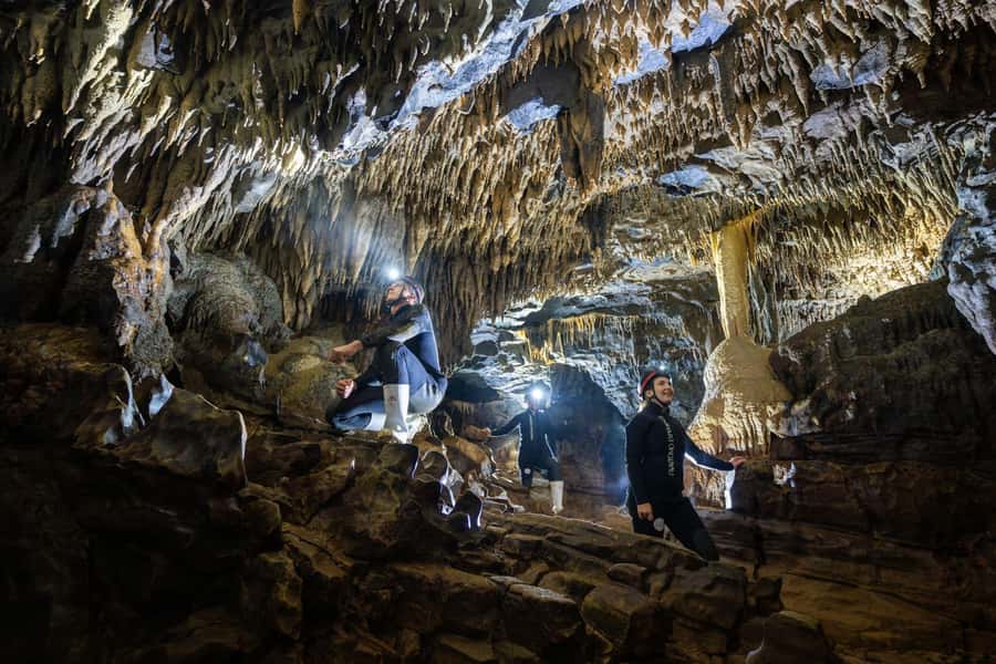 The Waitomo Experience : Okohua Glowworm Cave Tour - Starting at Tumu Tumu Station