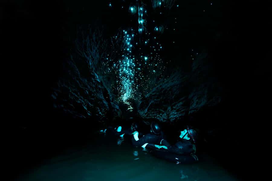 The Waitomo Experience : Okohua Glowworm Cave Tour - Two to three hours of climbing, wading, and tubing
